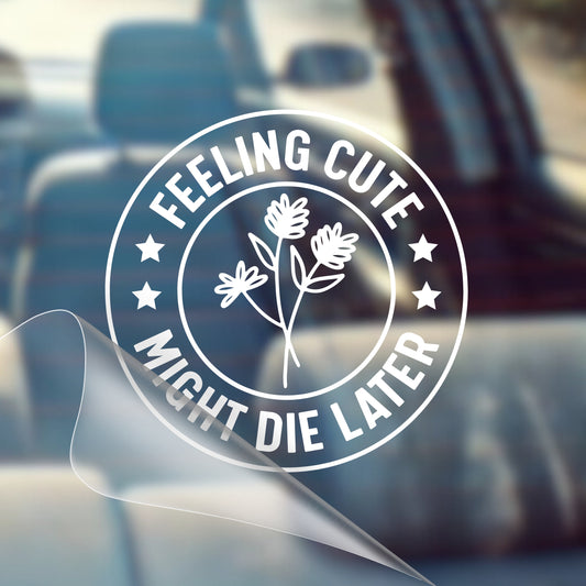 Feeling Cute Might Die Later - Car Decal Vinyl Bumper Sticker - Humor, Laugh, Joke, Sarcastic, Funny Quotes, Smile, Comedy, Hilarious, Prank, Funny